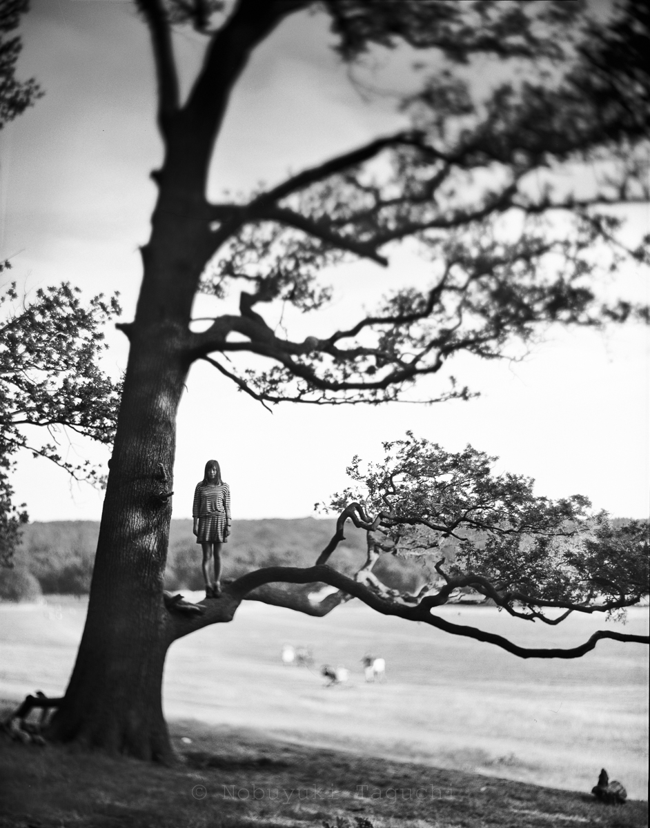 Portrait Location Photography  - Girl in Tree