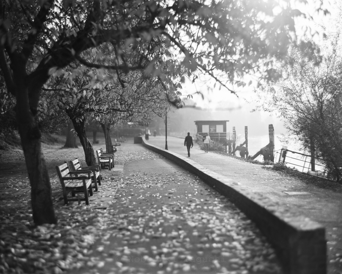 London by 5x4 (4x5) Large Format with Aero Ektar - Photo 1160