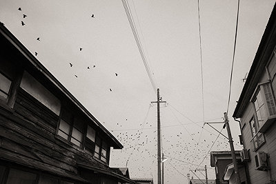 Documentary and Reportage - Photo 4431